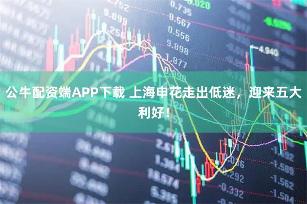 公牛配资端APP下载 上海申花走出低迷，迎来五大利好！