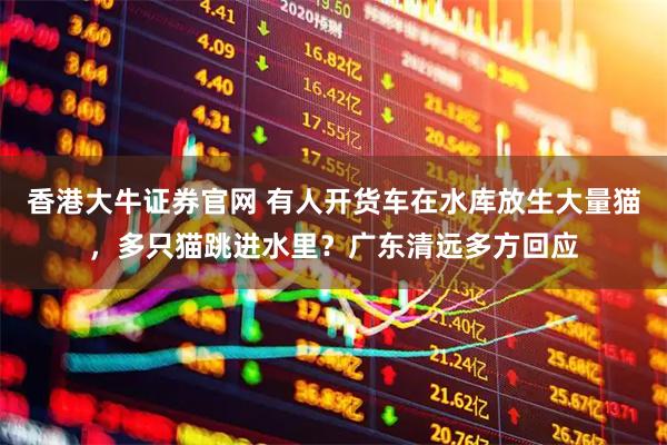 香港大牛证券官网 有人开货车在水库放生大量猫，多只猫跳进水里？广东清远多方回应