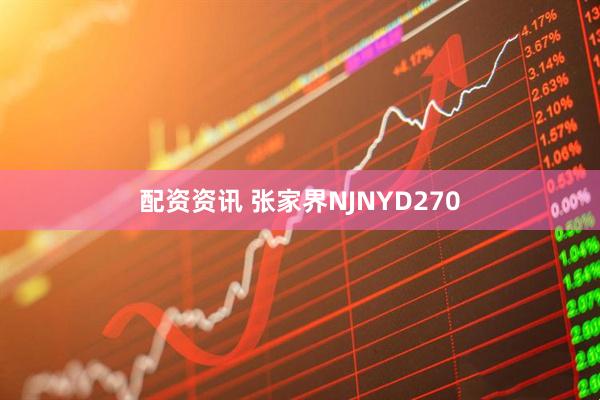 配资资讯 张家界NJNYD270