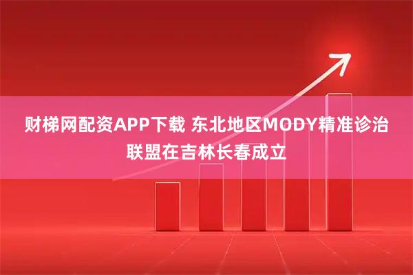 财梯网配资APP下载 东北地区MODY精准诊治联盟在吉林长春成立