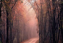 在线配资知识:股票开户用那个好-8月22日涨停复盘：79只股涨停 寒武纪、海光信息涨停